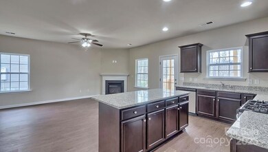 69 Bovine Branch Rd, Fletcher, NC 28732 - photo 6