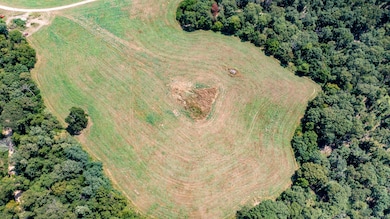 000 Neon Sky Dr, Pineville, MO 64856 - photo 6