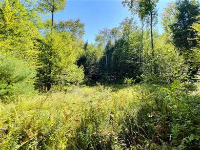 00 Chandlers Mill Rd, Newport, NH 03773 - photo 6