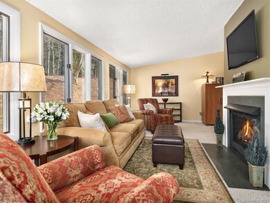 91 Hollybrook Dr, Asheville, NC 28803 - photo 5