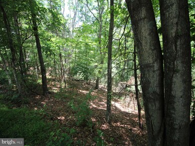 0 Anderson Rd unit VASH2006376, Basye, VA 22810 - photo 2