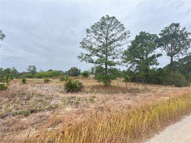 319 Vienna Ave, Lake Placid, FL 33852 - photo 4