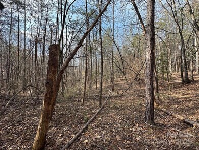 0 Sunshine Acres unit CAR4228639, Sylva, NC 28779 - photo 3