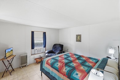 11125 N Wahoo Trail, Dunnellon, FL 34433 - photo 4