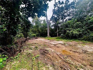 Parcel#6 16 Hwy, Franklinton, LA 70438 - photo 5