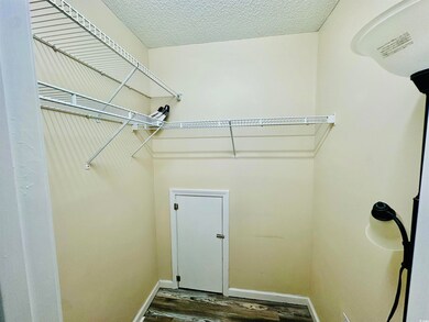 Laundry area with dark wood-type flooring and a textured ceiling