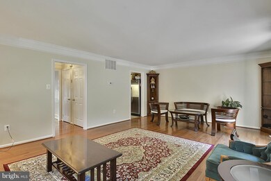 6014 Morgan Ct, Alexandria, VA 22312 - photo 6