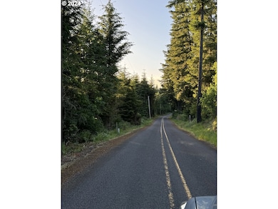 0 S Dickey Prairie Rd unit 24012878, Molalla, OR 97038 - photo 7