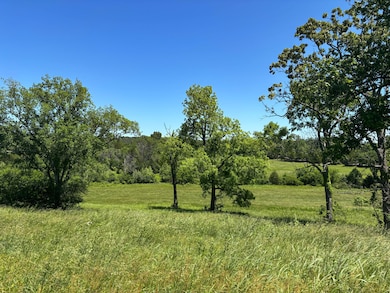 Tbd U S 160, Theodosia, MO 65761 - photo 6