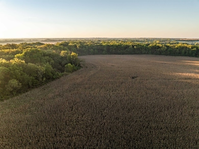 12357 SW Tawakoni Rd, Augusta, KS 67010 - photo 5