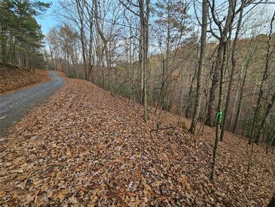 0 Garnet Dr unit 7684172, Ellijay, GA 30540 - photo 7