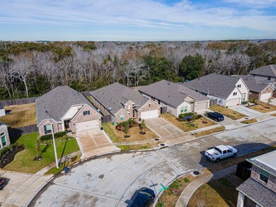 1684 Maggie Trail Dr, Alvin, TX 77511 - photo 5