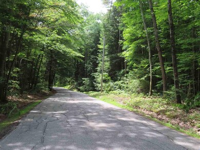 8-1-B Butterfield Hill Rd, Westmoreland, NH 03467 - photo 5