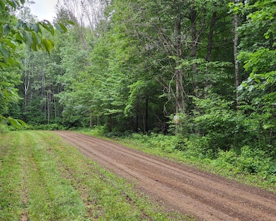 TBD Dream Lake Rd unit Lot 2, Long Lake T-Wi, WI 54542 - photo 5