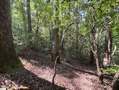 00 Whitewater Lake Rd, Tamassee, SC 29686 - photo 2