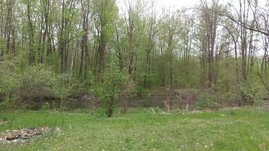 2991 4th St, Wayland, MI 49348 - photo 7