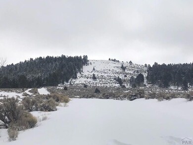 127 Flavin Ln unit 127, Fort Garland, CO 8113 - photo 6