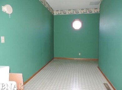 13 Quail Ct, Downs, IL 61736 - photo 5