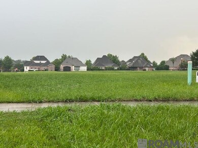 3508 Spanish Trail E, Zachary, LA 70791 - photo 5