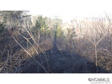 102 Balsamwood Dr unit 23, Leicester, NC 28748 - photo 5