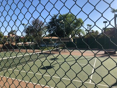 sean community pool tennis 1