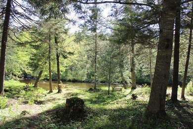 143 E Branch Rd, Seboeis Plantation, ME 04448 - photo 6