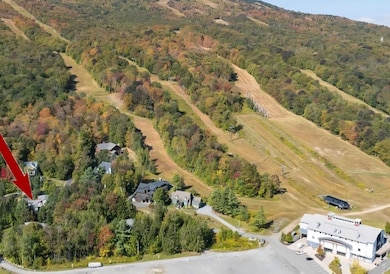 33 Carinthia Rd, Dover, VT 05356 - photo 3