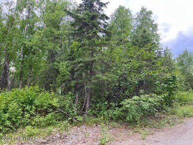 mature trees