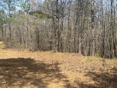 00 Fisher Ln, Shiloh, TN 38376 - photo 3