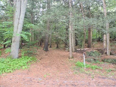 Lot 6 Branch Rd, Weare, NH 03281 - photo 5
