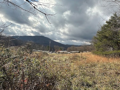 113 Verna Ln, Narrows, VA 24124 - photo 3