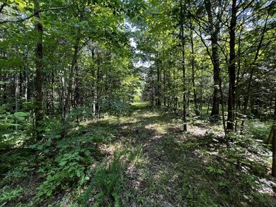 05CCCBA9-573D-48A7-A38E-2A1A8C82F6C9