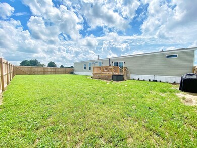 Backyard(3)