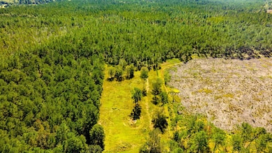 0 Bay Branch Church Rd unit 25551331, Claxton, GA 30417 - photo 5