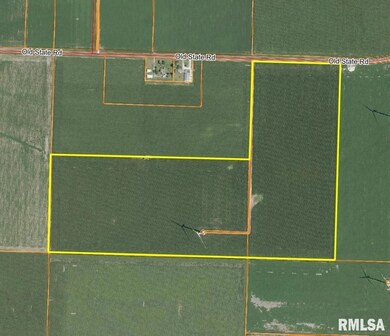 0 Sangamon Morgan County Rd unit RMACA1040833, New Berlin, IL 62670 - photo 5