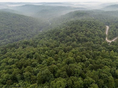 Lot 130 Laurel Loop, Bruceton Mills, WV 26525 - photo 7