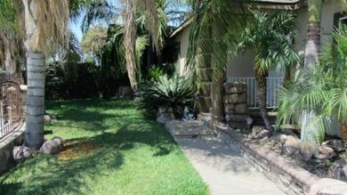 Landscaped Front Yard with Palm Trees