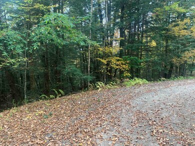 4-2-17 Morrill Cir, Campton, NH 03223 - photo 3