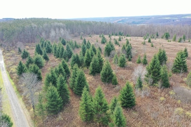 0WP Wothe-Freeman Rd, Deruyter, NY 13052 - photo 4