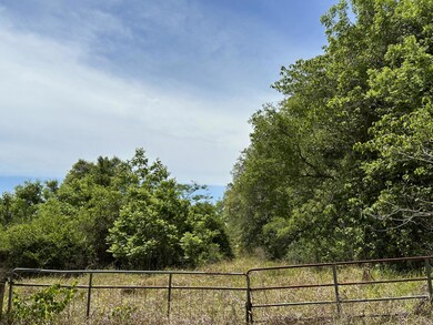 IMG_0337