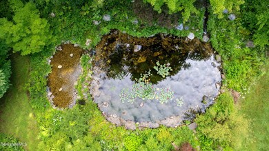Birds eye view of the pond