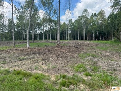 0 Gaskin Ln, Jamestown, KY 42629 - photo 4