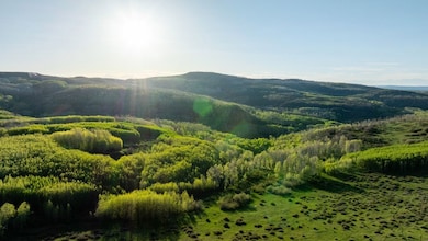 0 Tbd Divide Road 35-38, Gateway, CO 81522 - photo 3