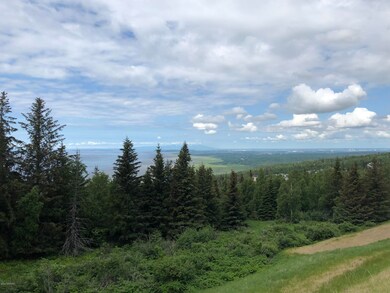 L4 B2 Potter Valley Rd, Anchorage, AK 99516 - photo 5