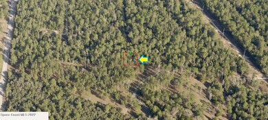 2811 Kerry St, Inverness, FL 34452 - photo 4