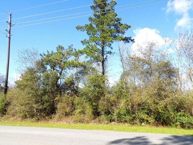 33100 Old Hempstead, Magnolia, TX 77355 - photo 2