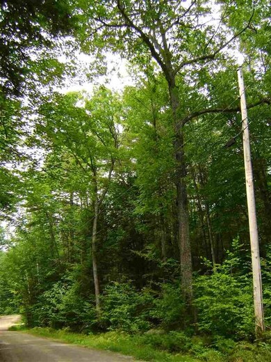 00 Casson St unit 31, Moultonborough, NH 03254 - photo 2