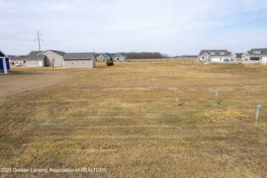 Lot 8 N Wright Rd, Fowler, MI 48835 - photo 5