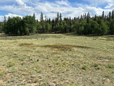 702 Pinto Trail, Como, CO 80456 - photo 6