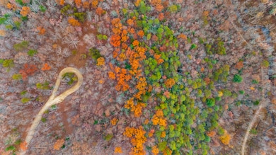 DJI_20251110134217_0032_D